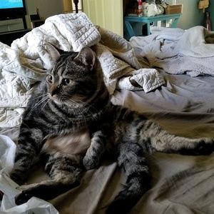 Meet your Posher, Kristin